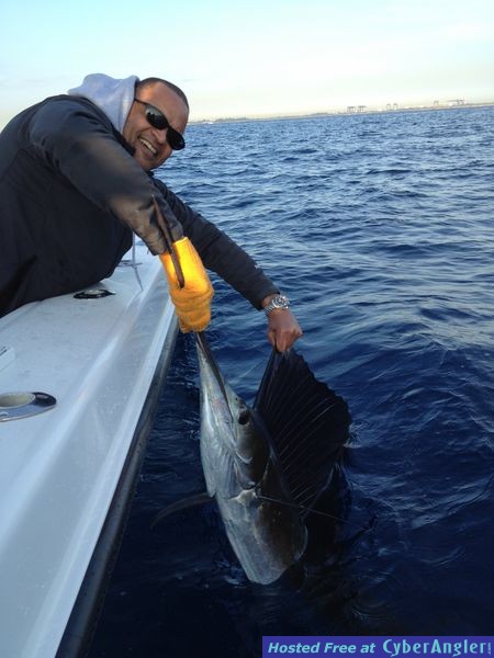 Ft. Lauderdale Offshore Fishing - Sailfish Release