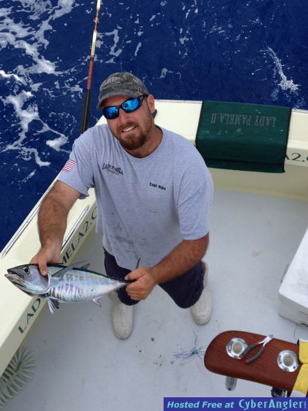 blackfin tunas