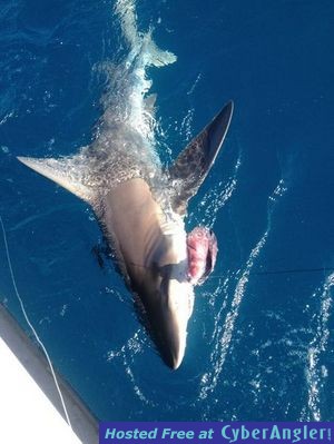 Click to Enlarge Photo