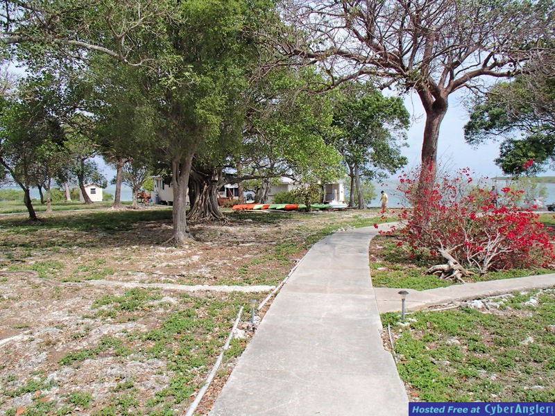 Click to Enlarge Photo