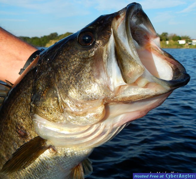 South Florida Freshwater Fishing