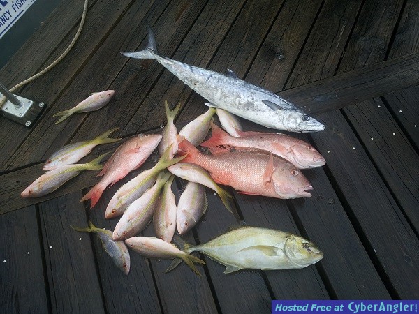 multiple_bottom_fish