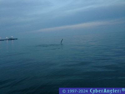 Click to Enlarge Photo