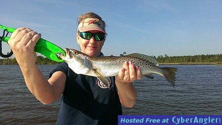 Trout