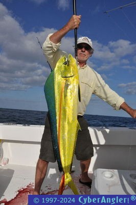 Fishing Stuart, FL - Dolphin