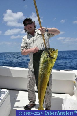 Fishing Stuart, FL - Dolphin