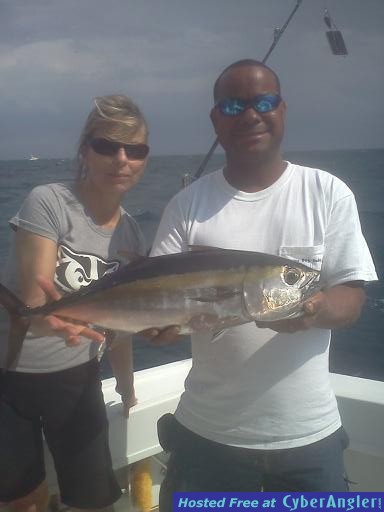 loria tuna
