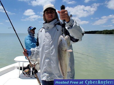 Click to Enlarge Photo