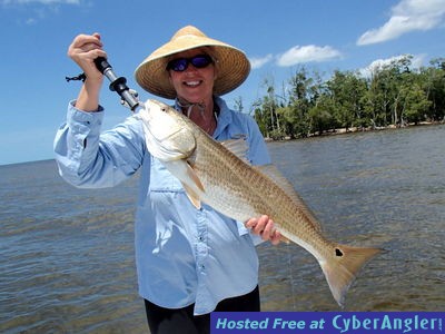 Click to Enlarge Photo