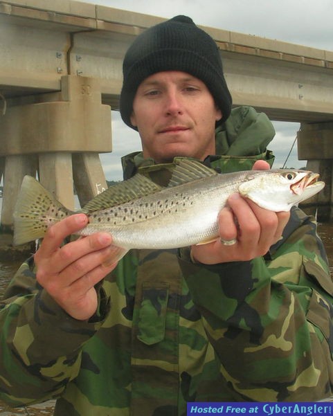 Speckle_Trout