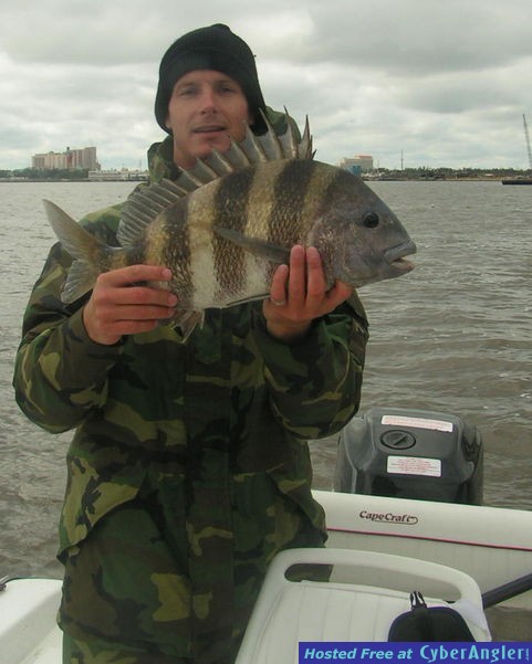 Sheepshead