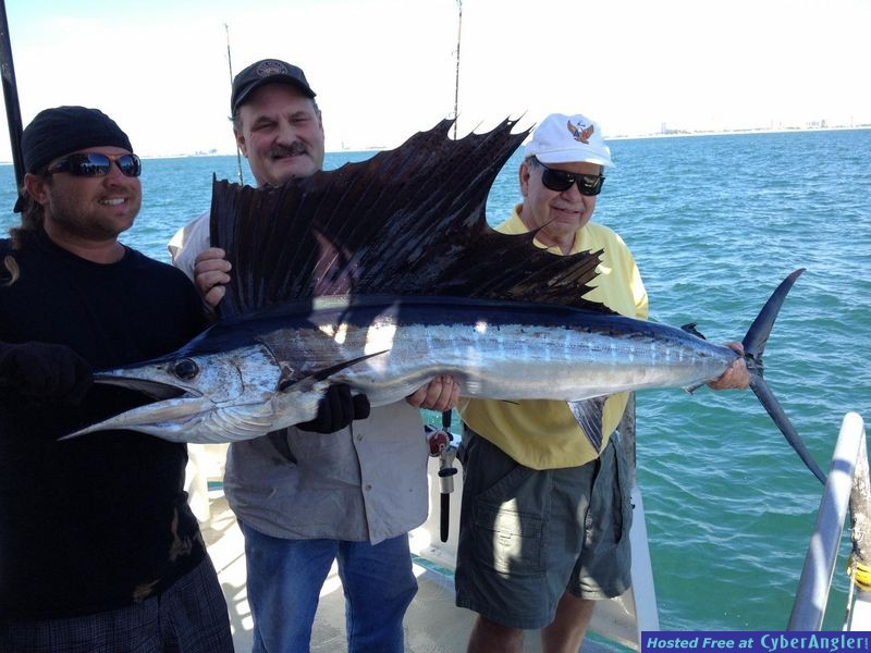 sailfish caught drift fishing