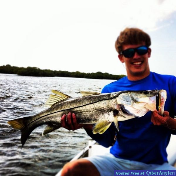 snook