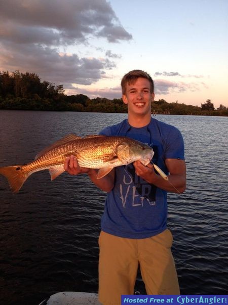 29 inch Redfish