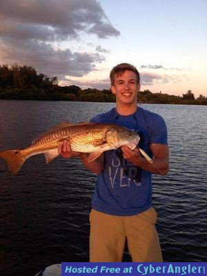 29 inch Redfish