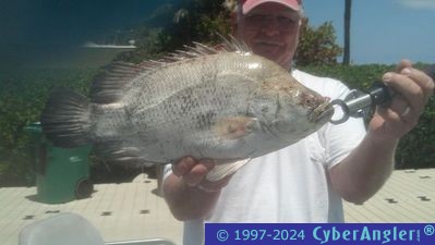 St. Lucie and Indian River Fishing