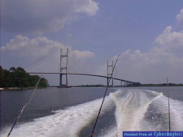 Dames Point Bridge - JAX, FL