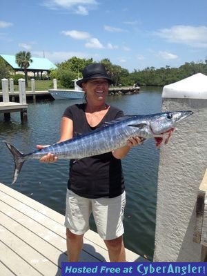 Click to Enlarge Photo