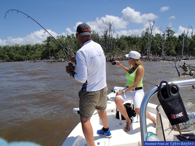 Alex_fighting_Flamingo_sawfish