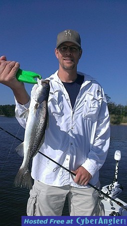 Trout