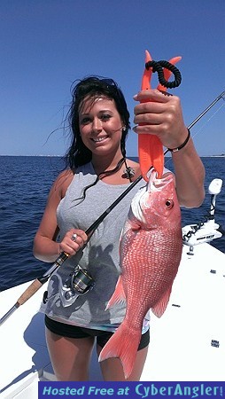 Red Snapper