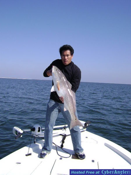 Lee's biggest Bull --- Nice job Lee!!!