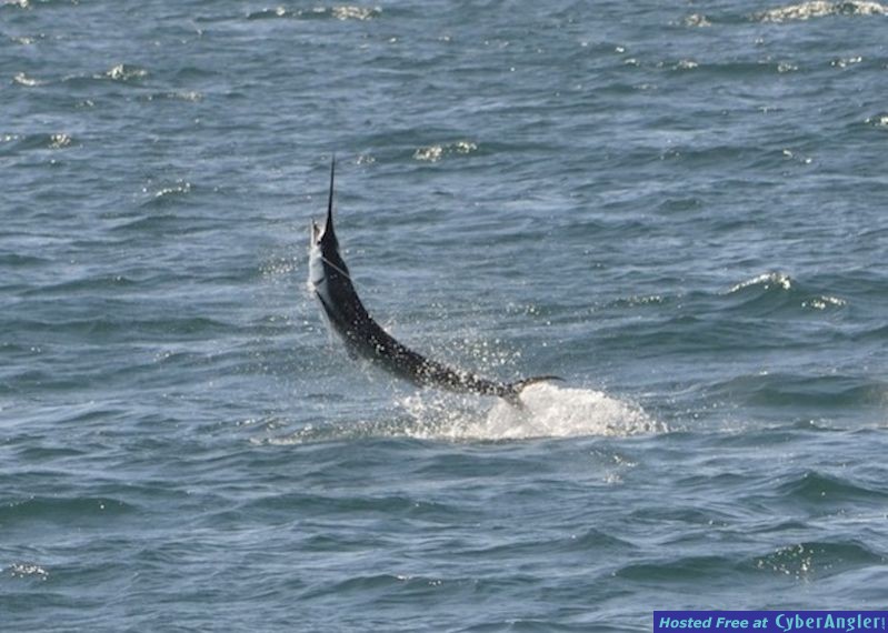 Click to Enlarge Photo