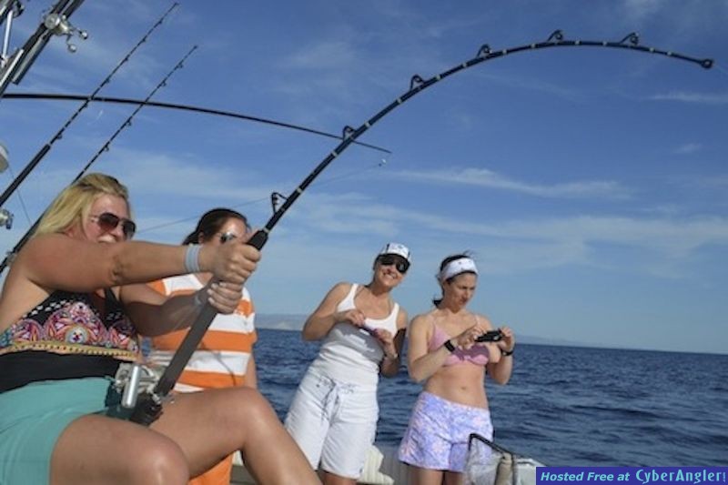 Click to Enlarge Photo