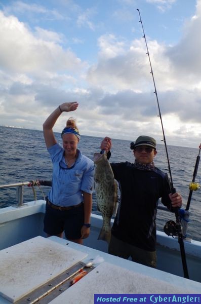 Miami, FL - Grouper