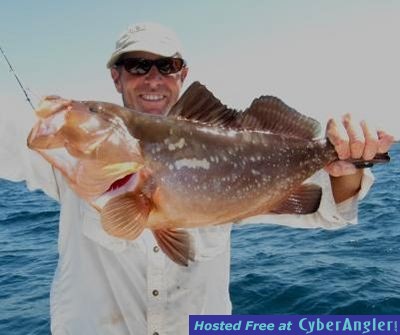 red grouper off the reef