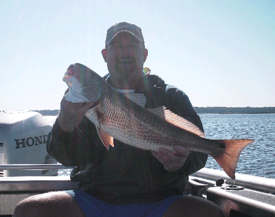 www.captdaves.com
