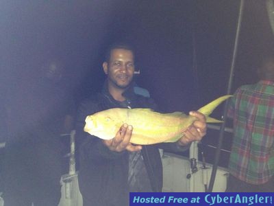 flag yellowtail snapper
