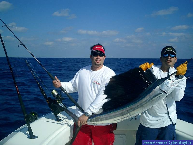 stan_sailfish