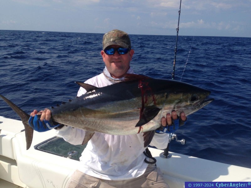 IMG_0008blackfin