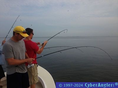 Click to Enlarge Photo