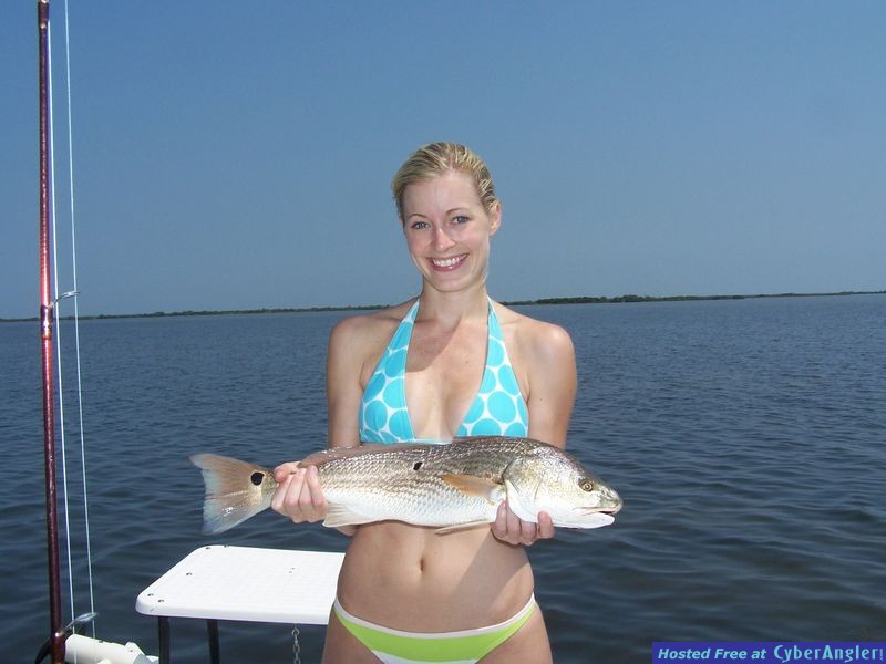 Mosquito Lagoon redfish