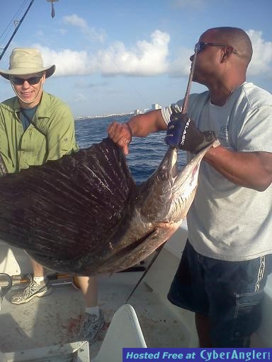 sail Tom 2