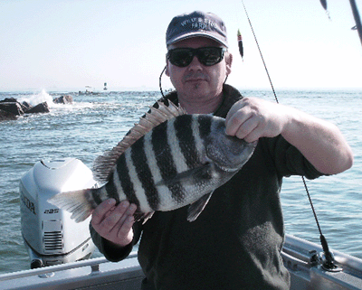 www.captdaves.com