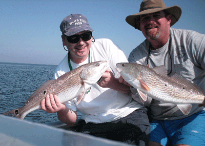 www.captdaves.com