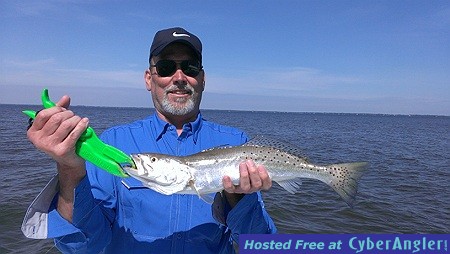 NiceTrout