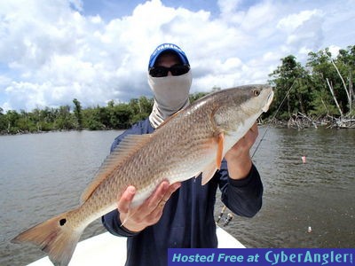 Click to Enlarge Photo