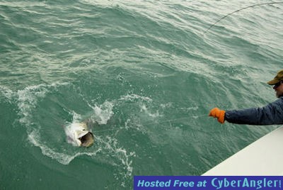 Click to Enlarge Photo