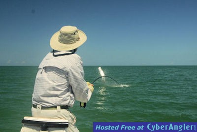 Click to Enlarge Photo