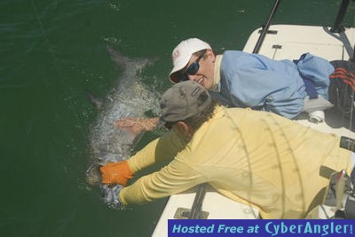 Click to Enlarge Photo