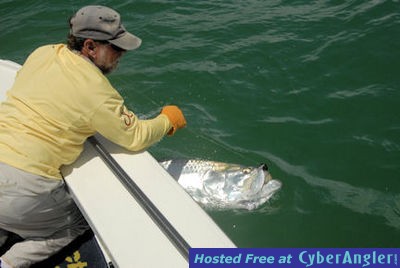 Click to Enlarge Photo