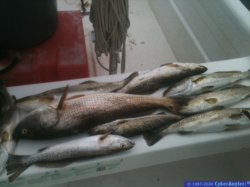 hurricane_fishing_2