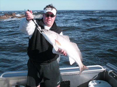 www.captdaves.com