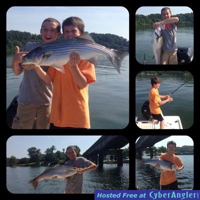 Kids catching striped bass on Smith Lake with guide Mike Walker