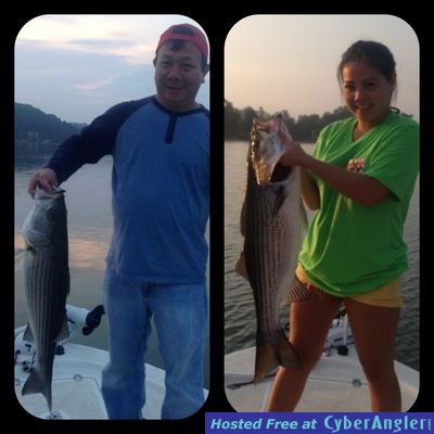 Smith lake striped bass