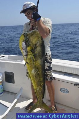 Click to Enlarge Photo